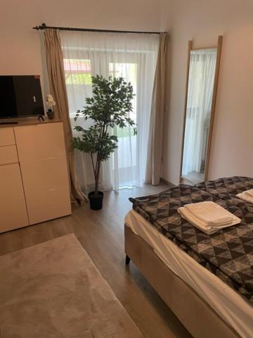 Szoegedi Villa Badacsonytomaj Dış mekan fotoğraf
